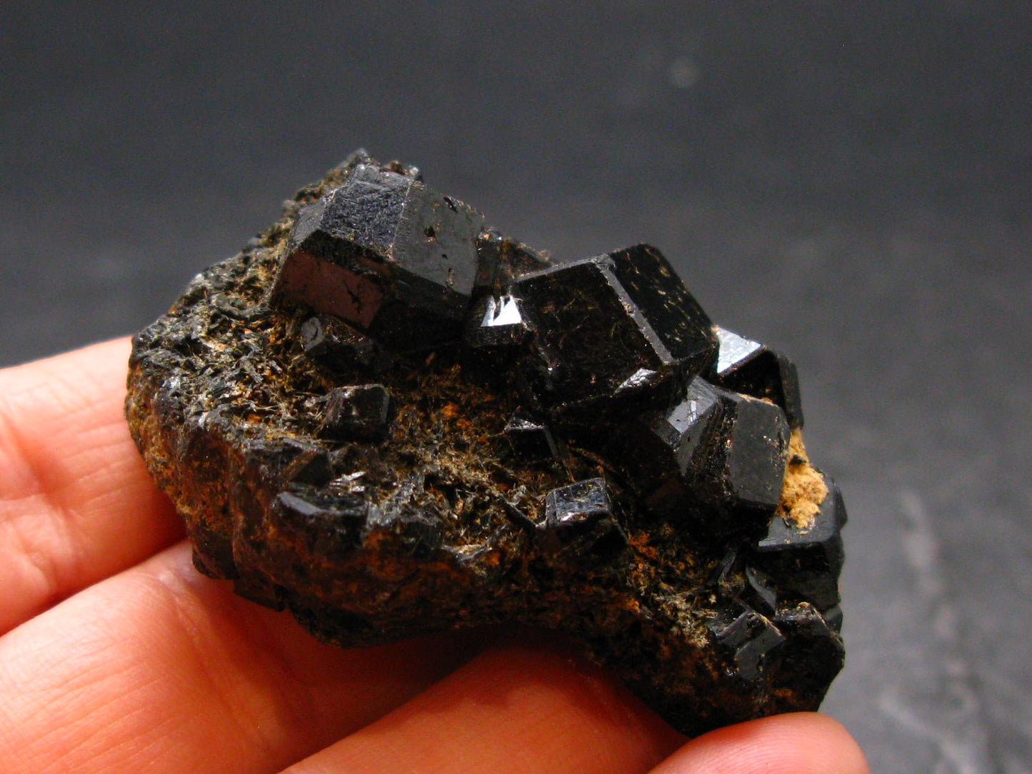 Black Melanite Andradite Garnet Crystal From Mali - 1.9" - 36.87 Grams