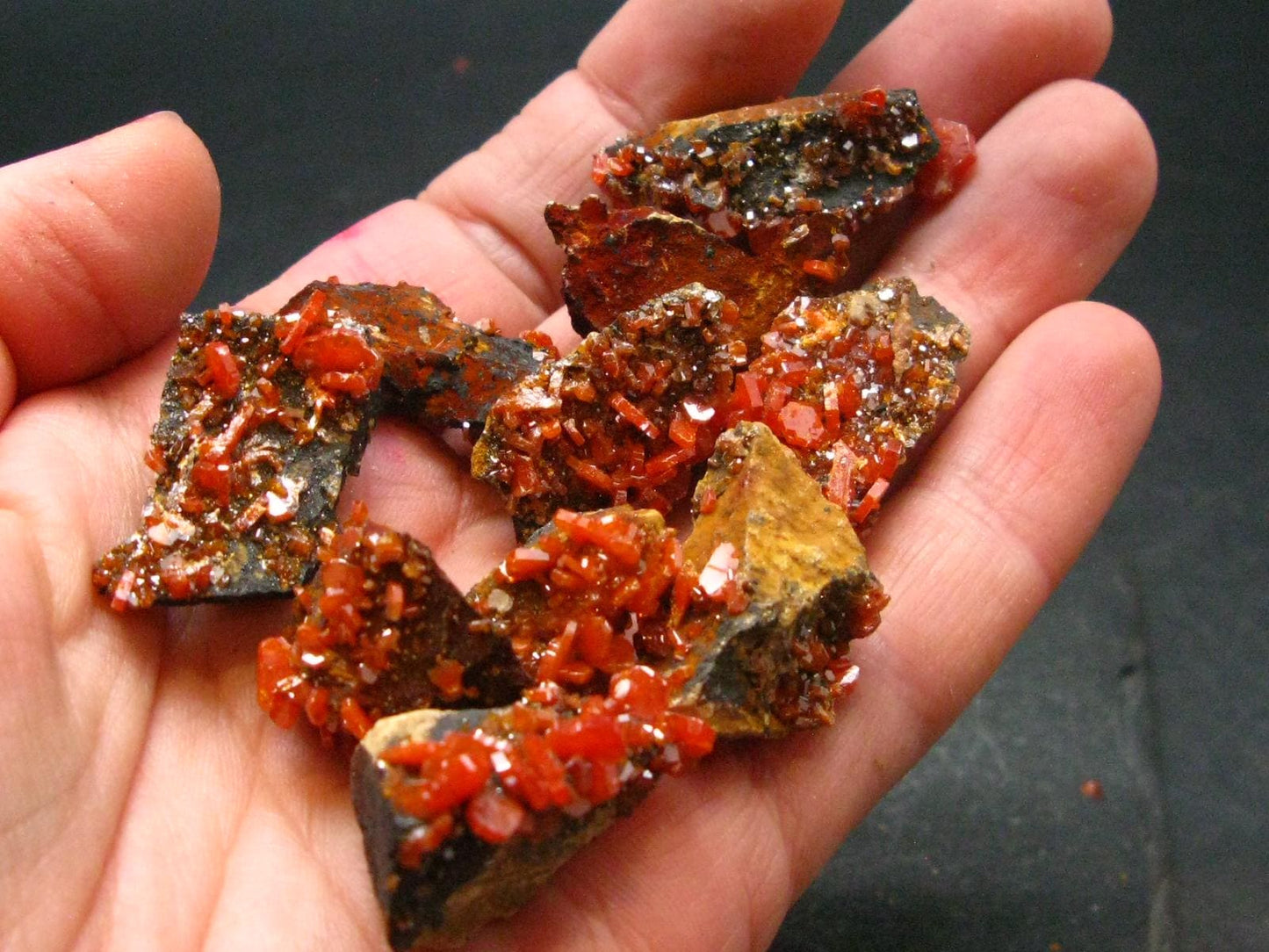 Lot of 10 Dark Red Vanadinite Cluster From Morocco - 37.80 Grams
