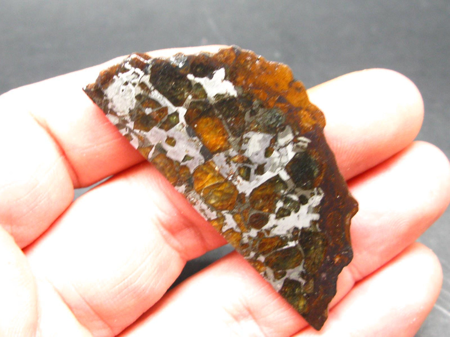 Large Brahin Meteorite Pallasite Olivine Slice From Belarus - 2.3" - 11.00 Grams