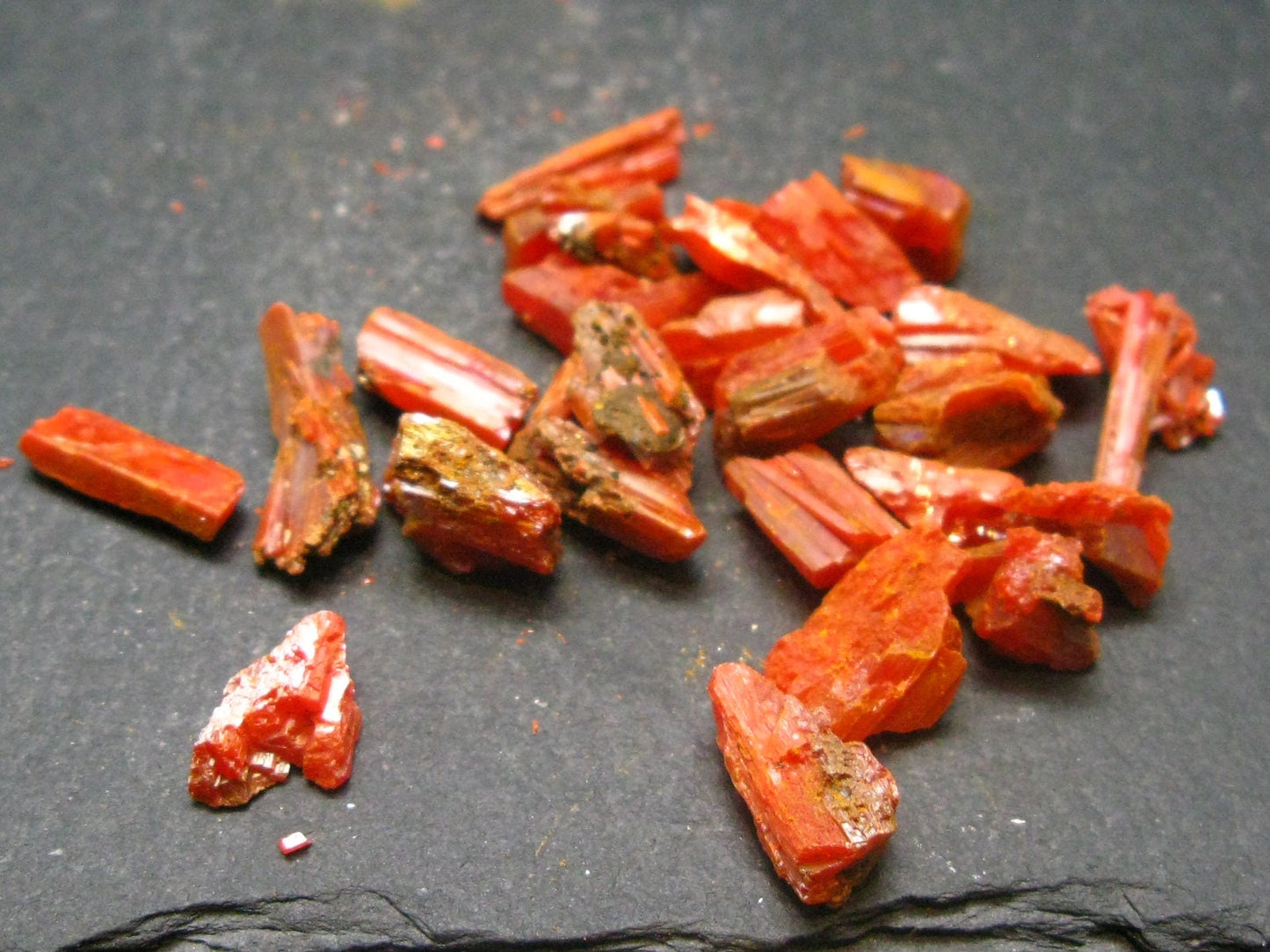 Lot of 25 Orange Crocoite Crystals From Australia