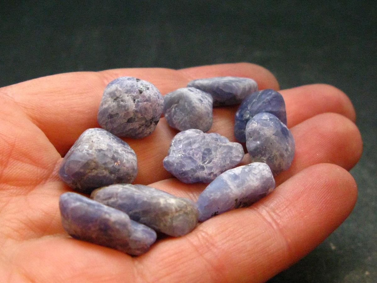 Lot of 10 Gem Tanzanite Zoisite Tumbled Pieces From Tanzania - 19.91 Grams
