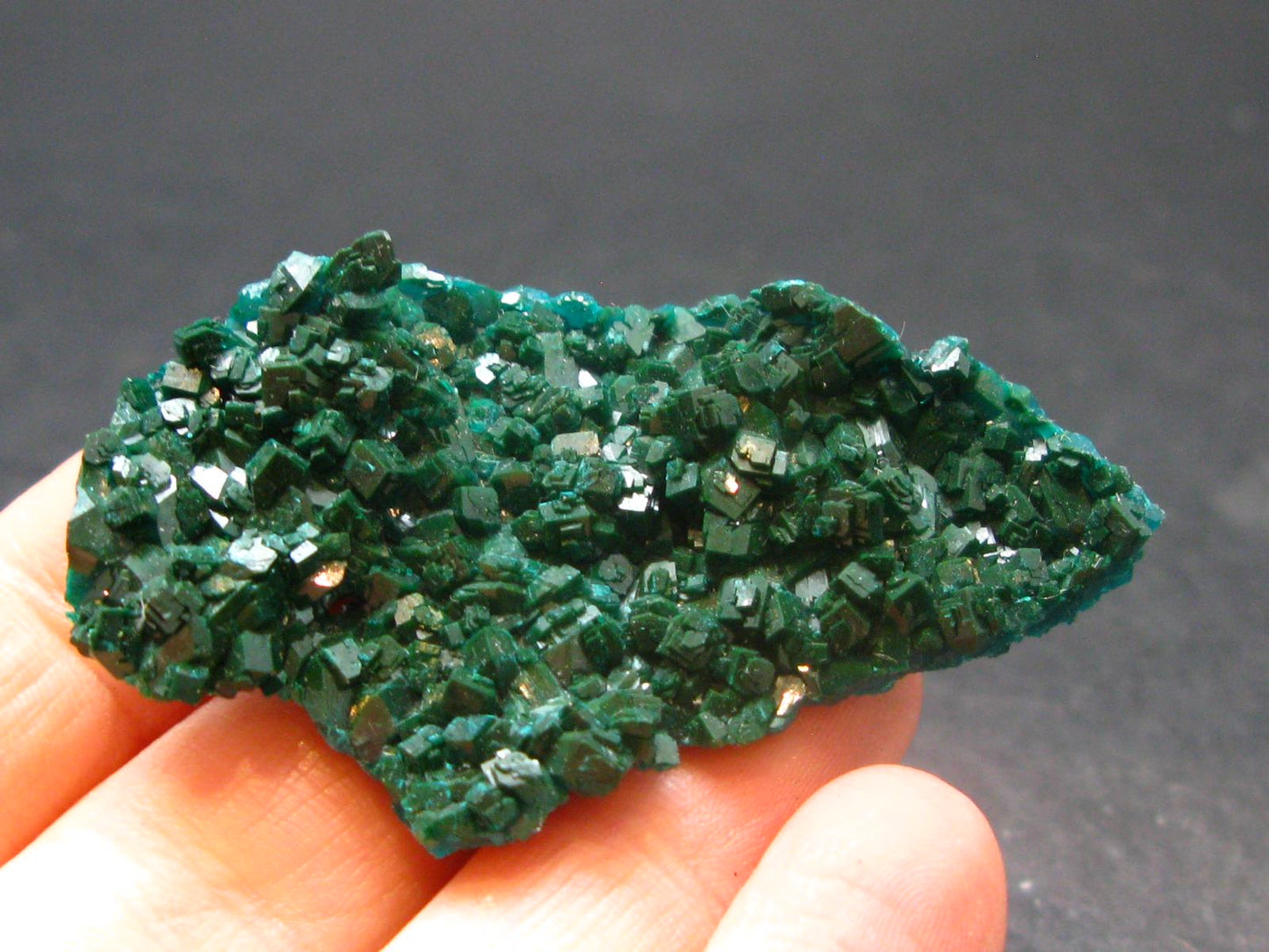 Very Nice Dioptase Cluster from Congo - 2.1" - 13.28 Grams