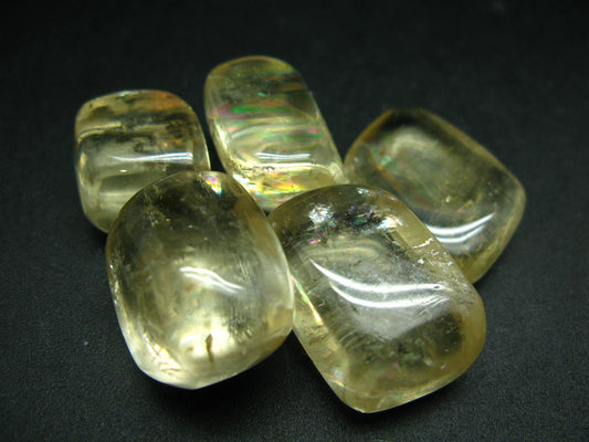 Lot of 5 natural tumbled Golden Yellow Calcite from China