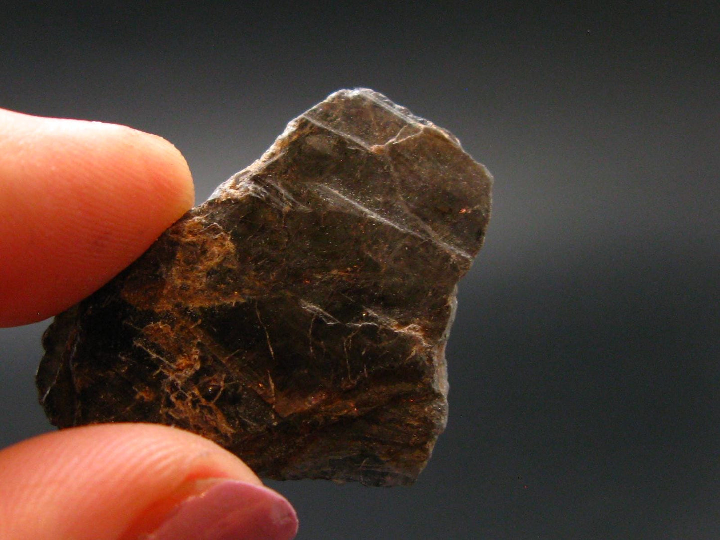 Fine Axinite Crystal from Russia - 1.3" - 5.77 Grams