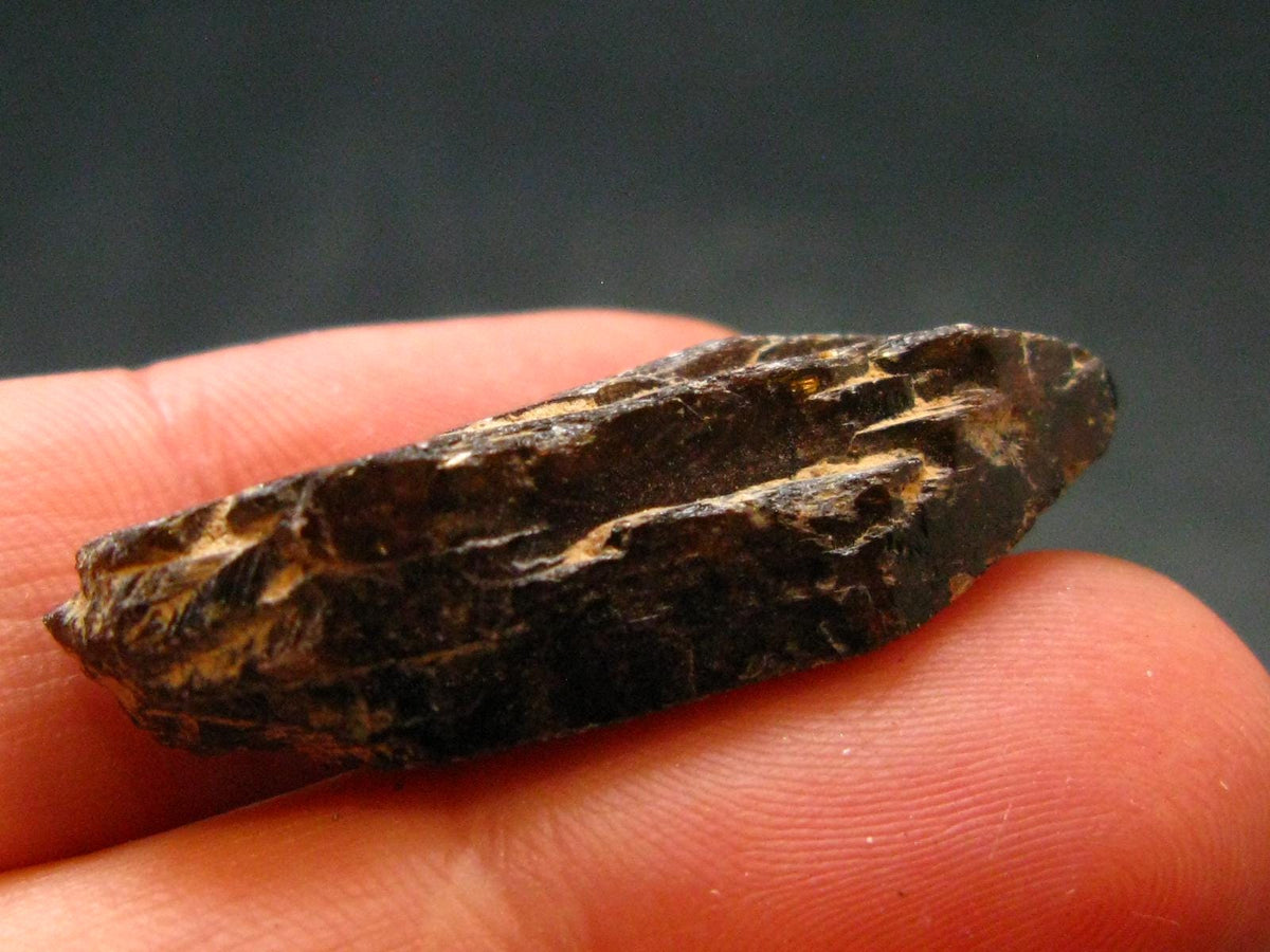Rare Xenotime Crystal from Brazil - 1.3" - 7.64 Grams