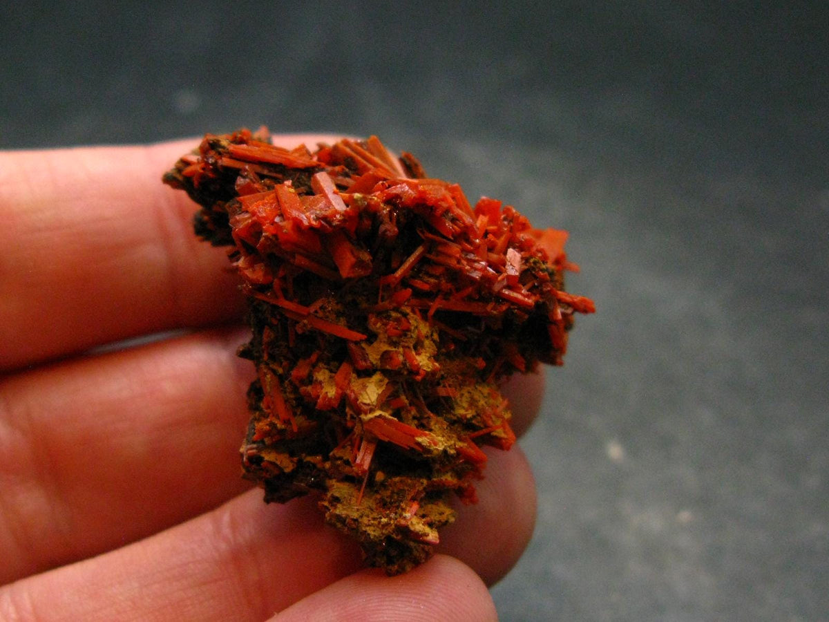 Rare Orange Crocoite Cluster From Australia - 1.4"- 11.0 Grams