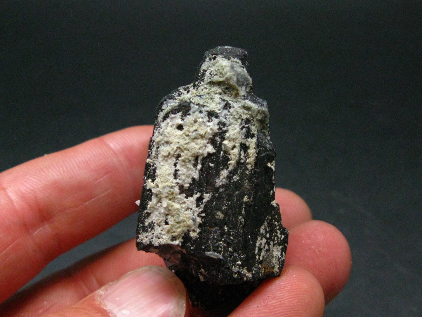 Perfect Wolframite With Fluorite Cluster from Portugal - 2.1"