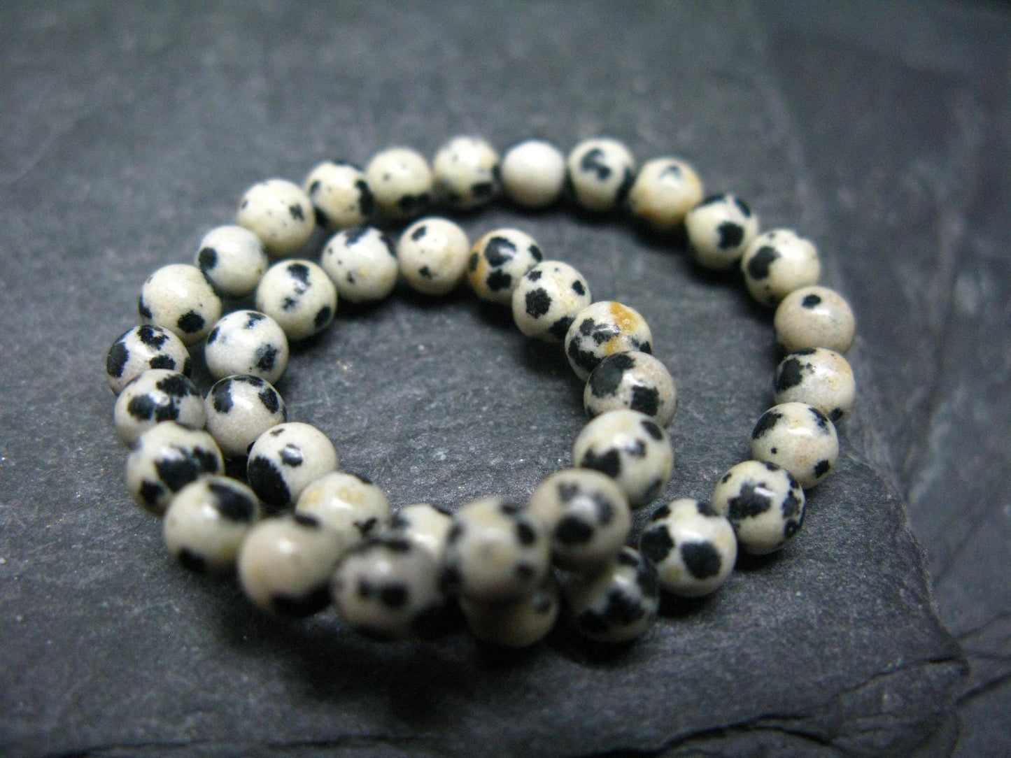 Dalmation Jasper Genuine Bracelet ~ 7 Inches ~ 4mm Round Beads