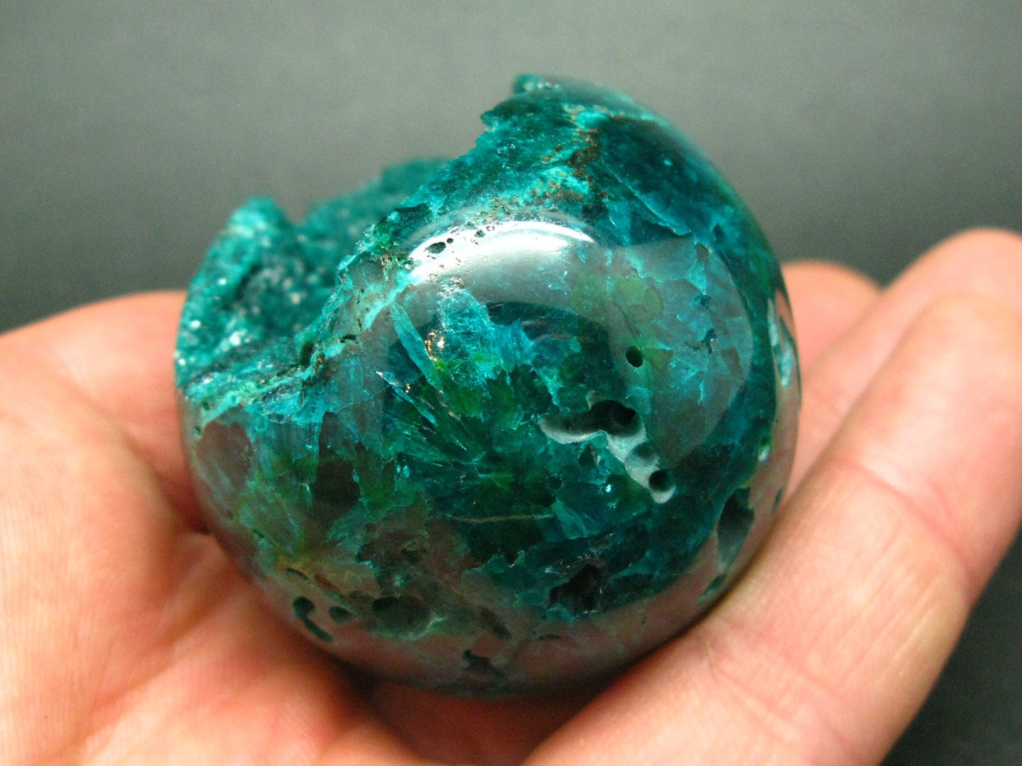 Very Rare Large Dioptase Egg From Congo - 2.4"