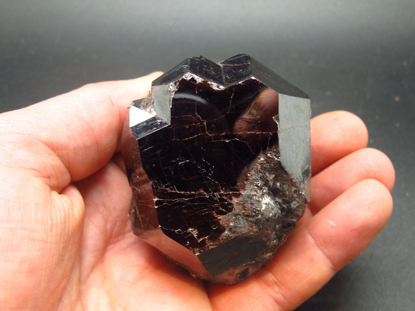 Large Perfect Rutile Crystal Graves Georgia USA - 2.6"