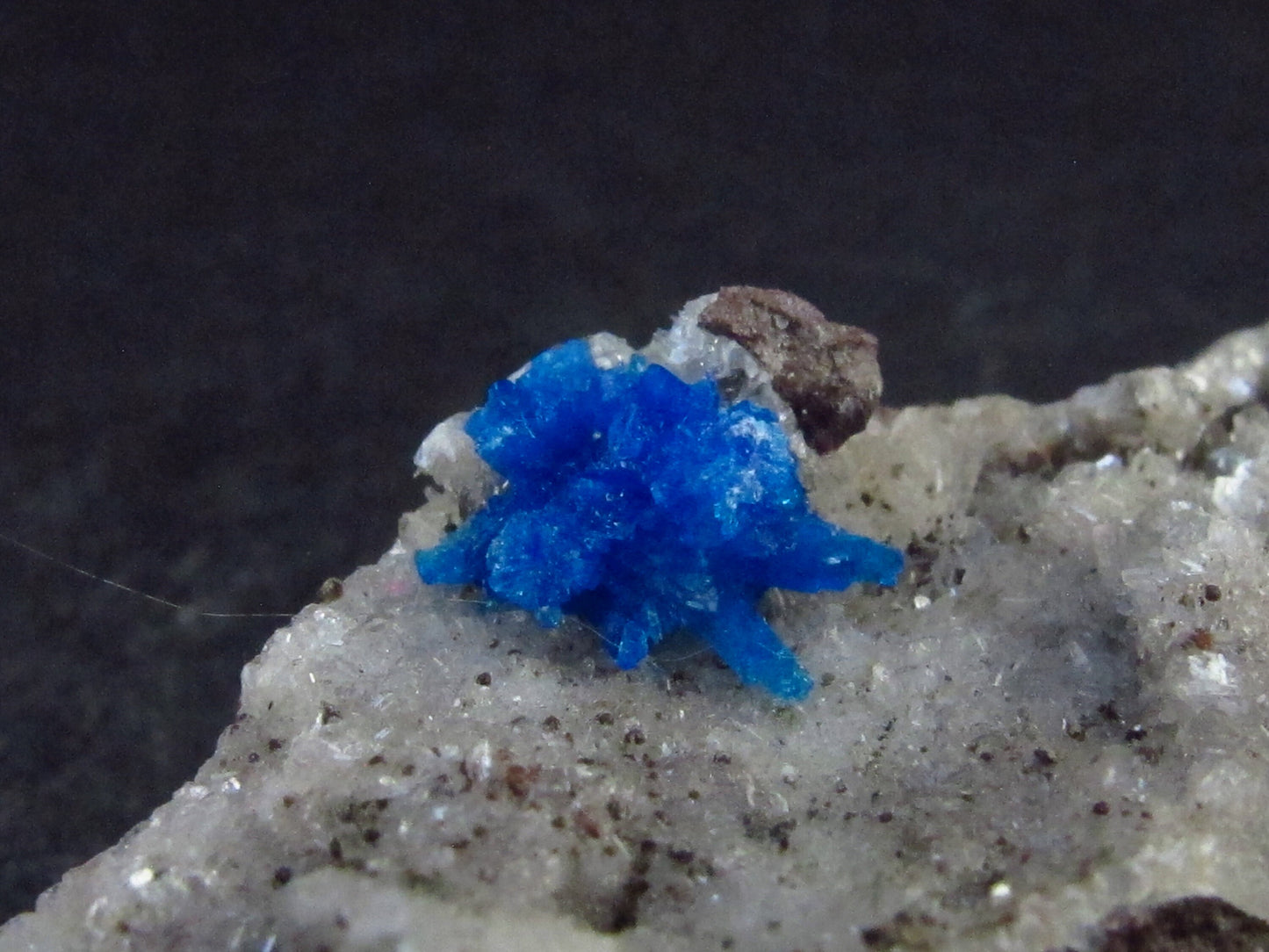 Cavansite on Stilbite Cluster From India - 2.1" - 27.4 Grams