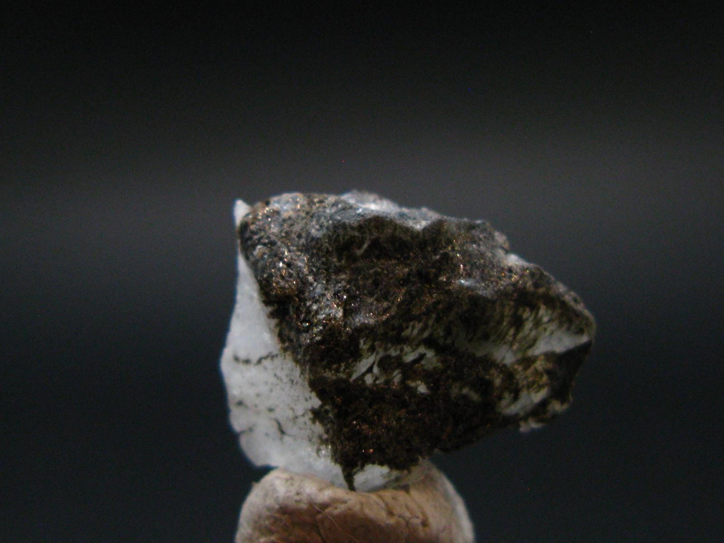 Phenakite Phenacite Crystal From Brazil - 1.79 Grams - 0.6"