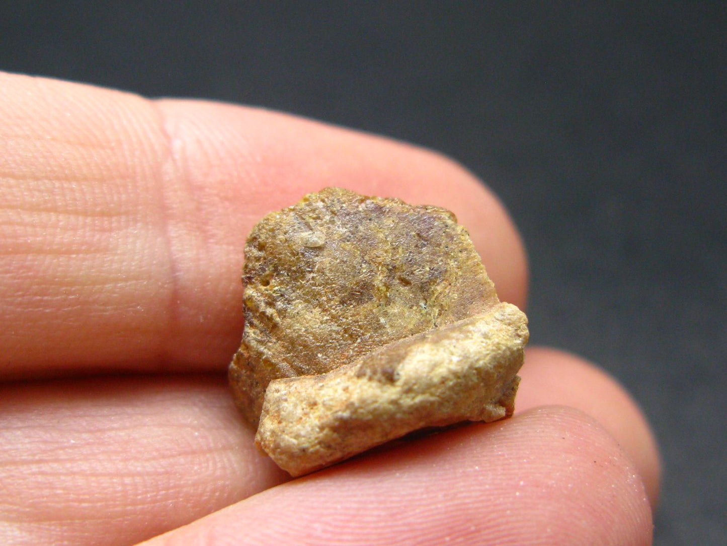 Rare Monazite Crystal From Brazil - 0.5" - 3.46 Grams