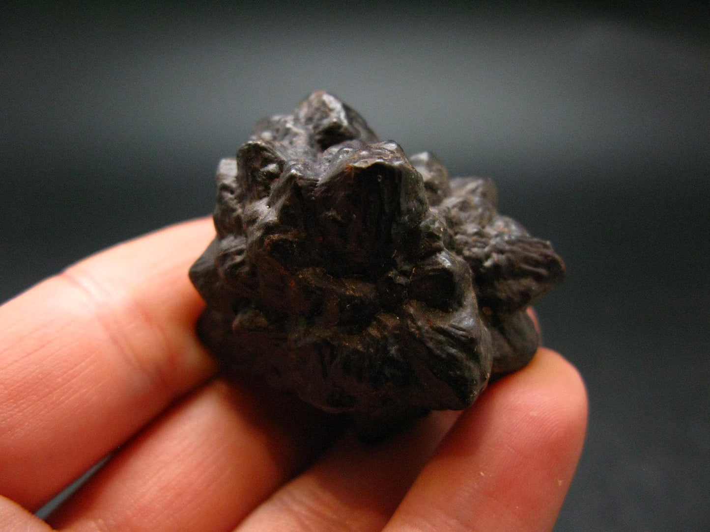 Very rare Z-Stone (Limonite after Marcasite) from Sahara Dessert, Egypt - 1.3" - 51.76 Grams