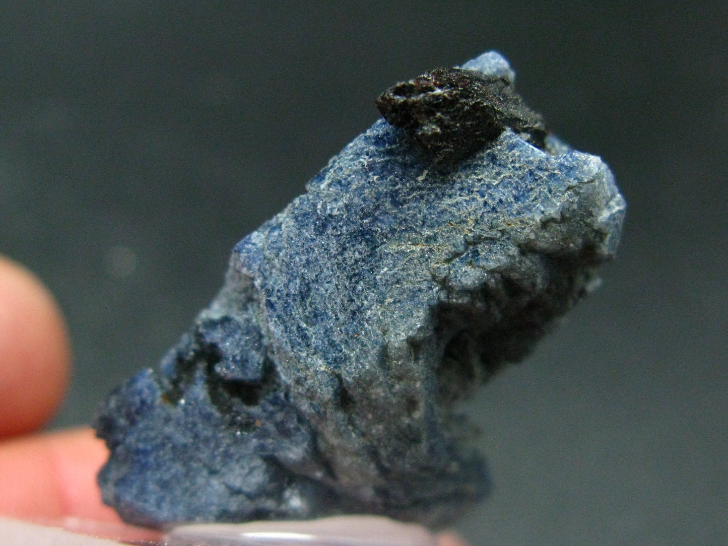 Large Benitoite Crystal From California with Neptunite - 105 Carats - 1.4"