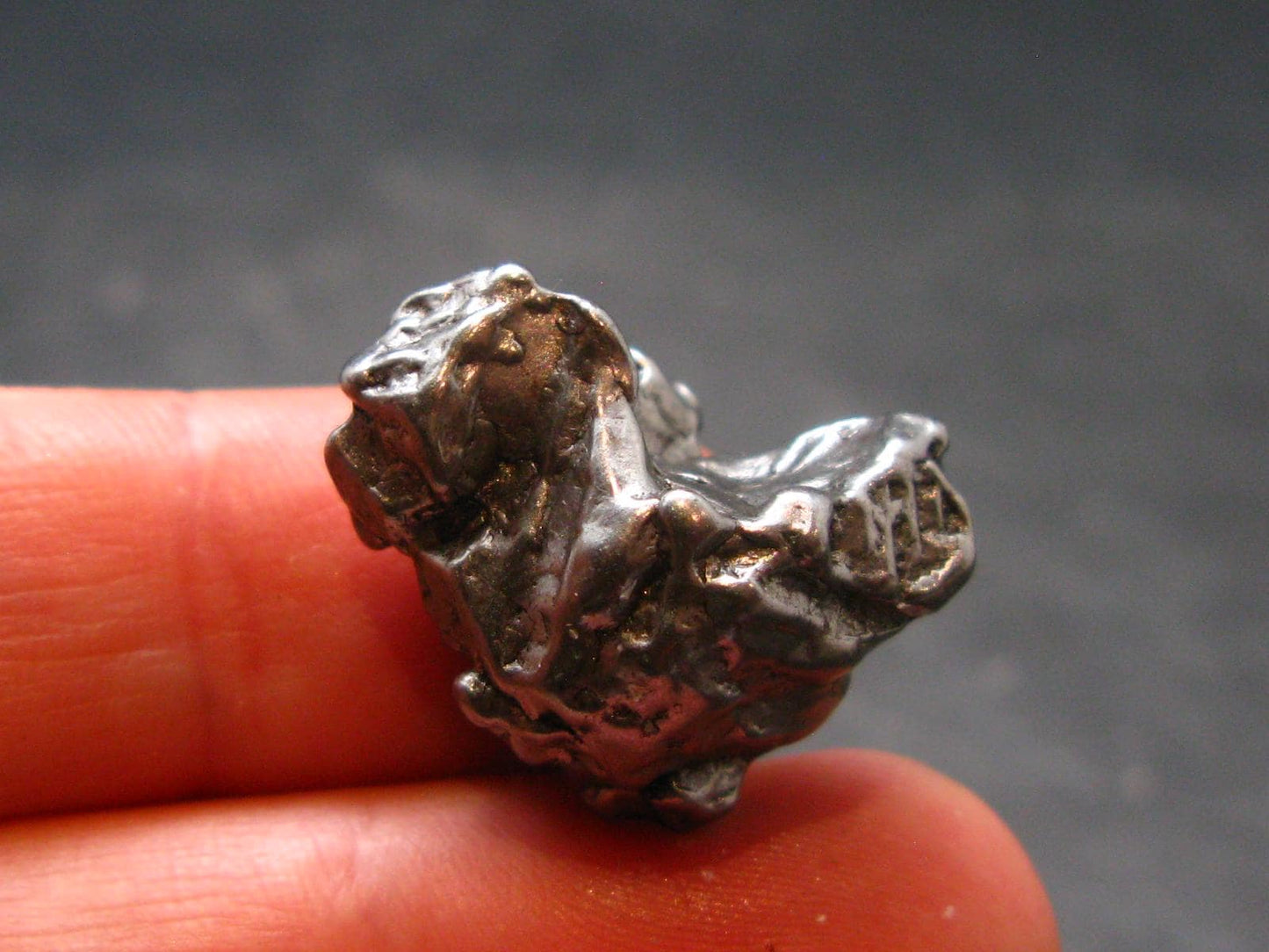 Campo Del Cielo Meteorite from Argentina - 11.82 Grams - 0.8"