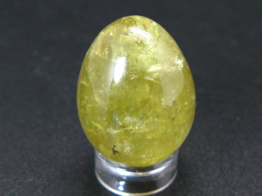 Large Gold Apatite Egg from Mexico - 20.4 Grams - 1.1"