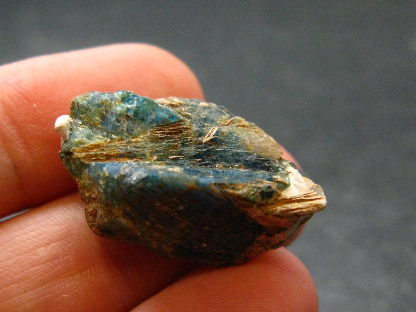 Large Euclase Blue Crystal From Zimbabwe - 18.50 Carats - 1.0"