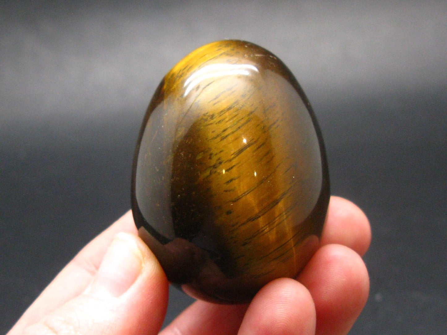 Golden Tiger Eye Egg From South Africa - 1.9"