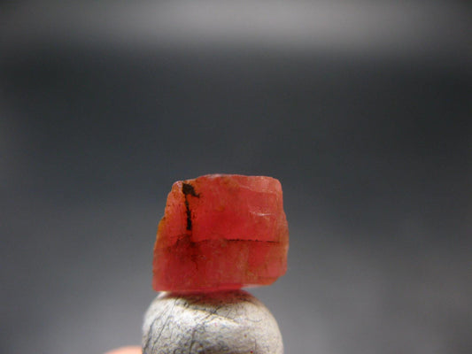 Rhodochrosite Gem Crystal From Alma Colorado - 5.60 Carats - 0.5"
