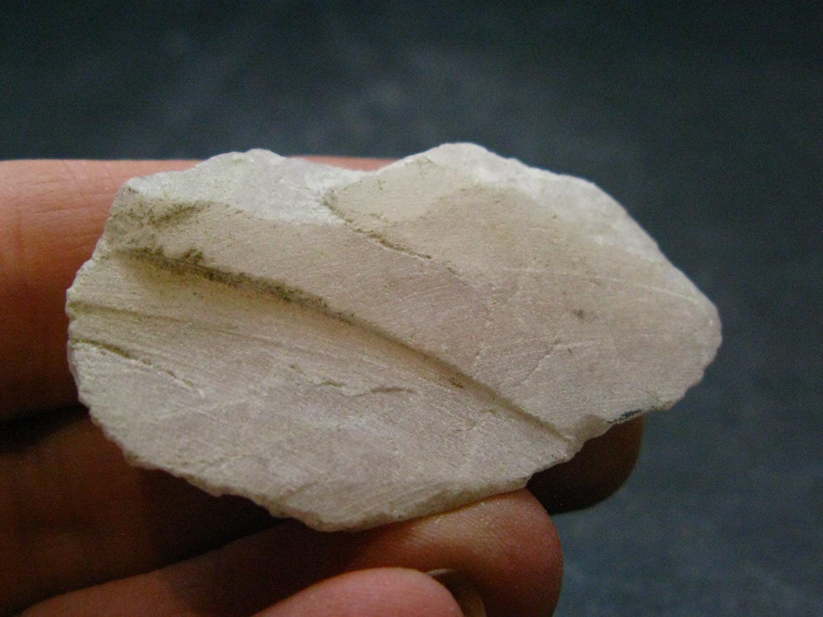 Phenakite Phenacite Polished Slice From Brazil - 14.16 Grams - 1.7"