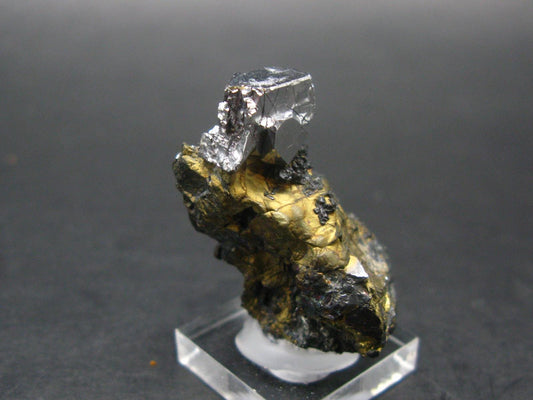 Sperrylite Crystal On Matrix From Russia - 1.3" - Huge 12mm Crystal