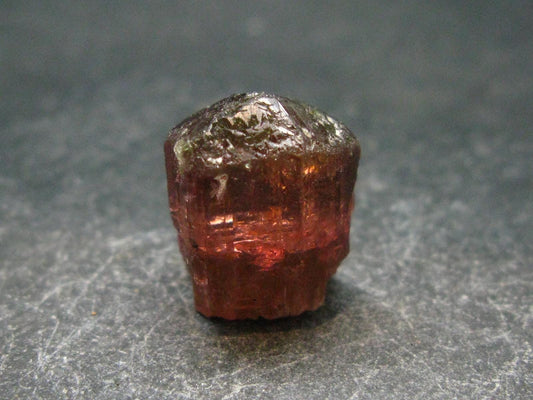 Rare Watermelon Tourmaline Crystal From Brazil - 0.6" - 29.20 Carats