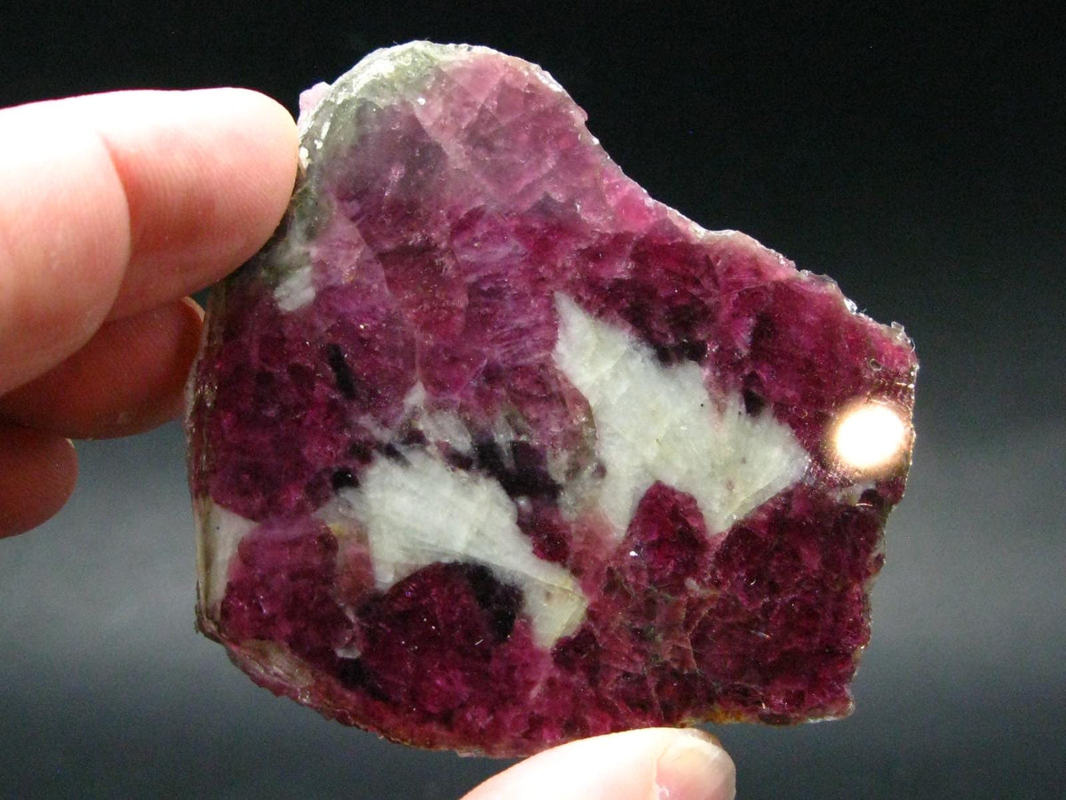 Stunning Tourmaline in Quartz Slice From Russia - 2.8"