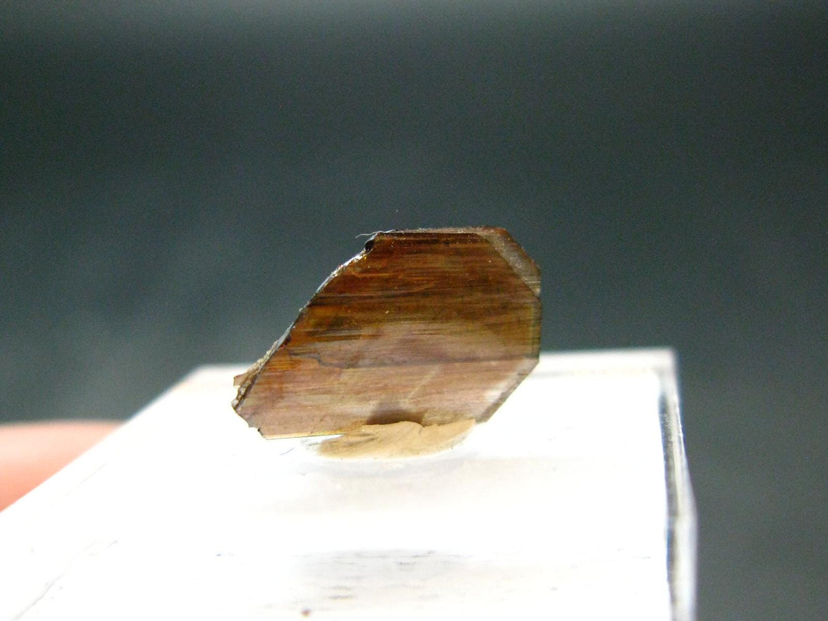 Large Brookite Crystal From Pakistan - 0.20 Grams - 13 mm