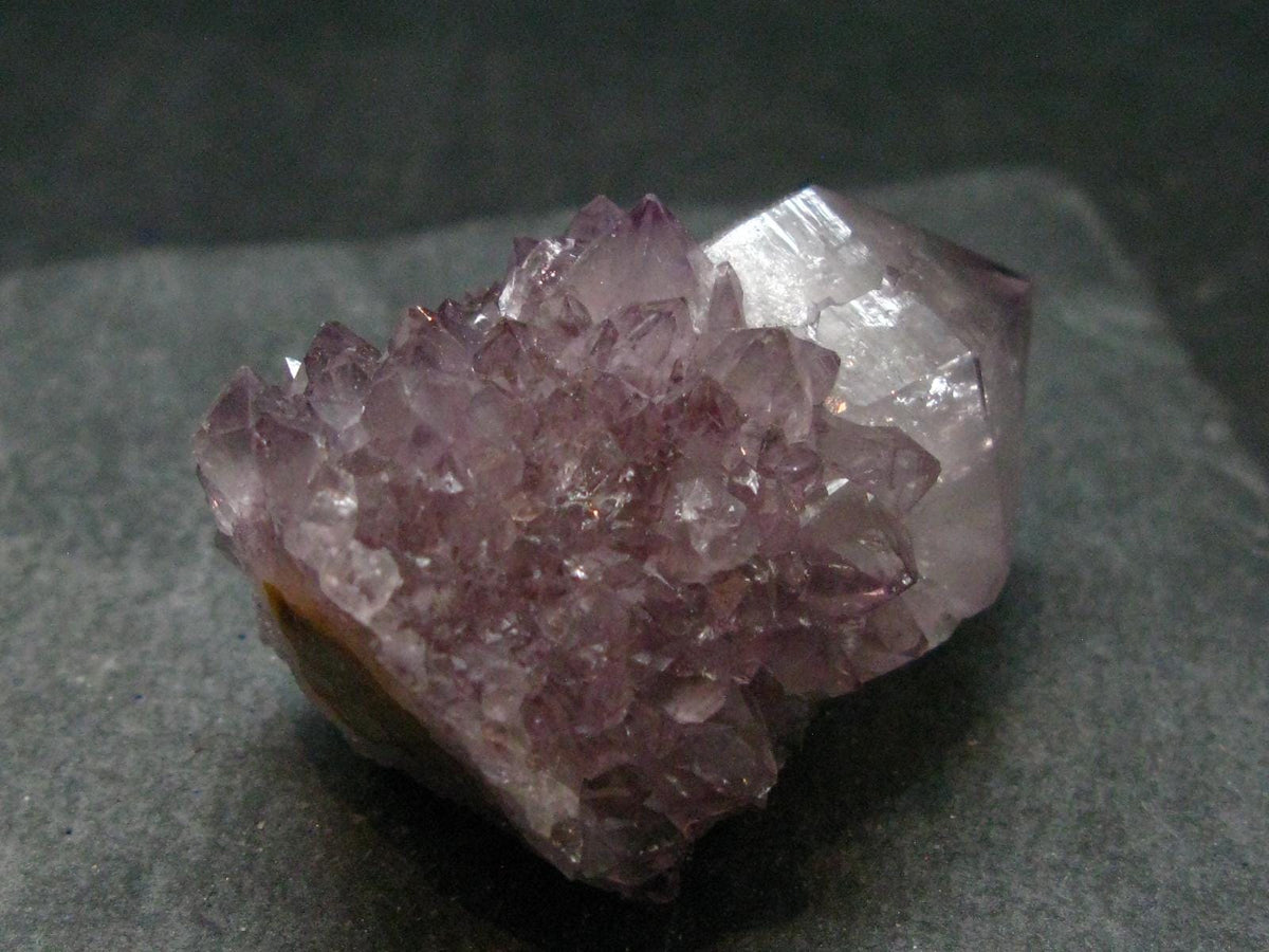 Fine Cactus Amethyst Spirit Quartz Crystal From South Africa - 1.8" - 46.57 Grams