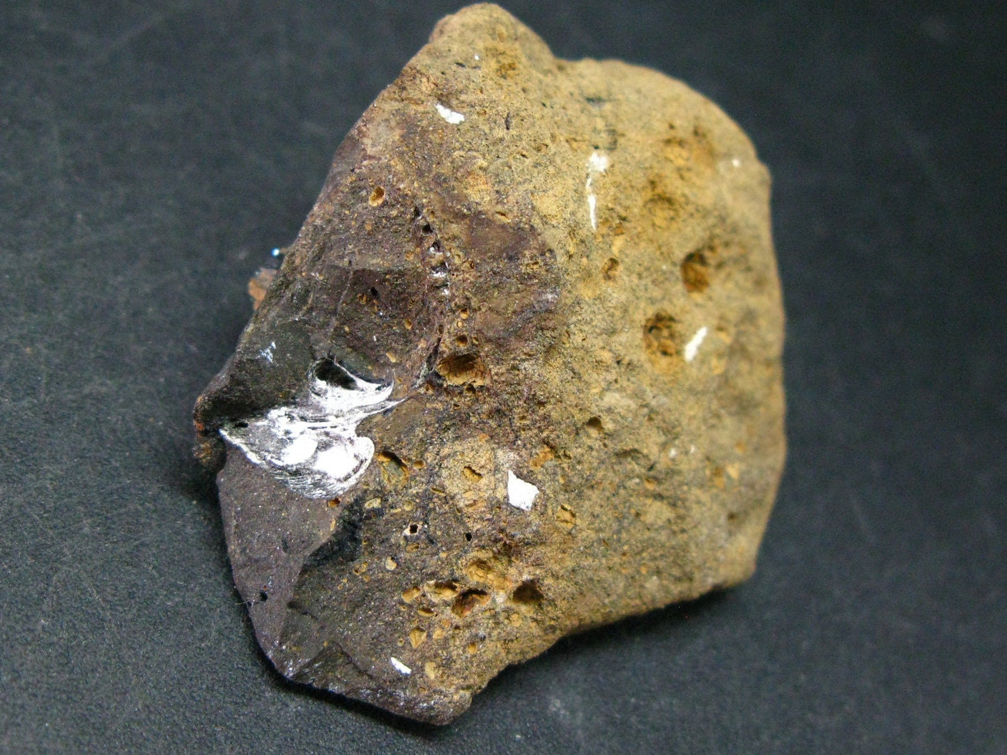 Vivianite In Shell Crystal From Russia - 1.8"