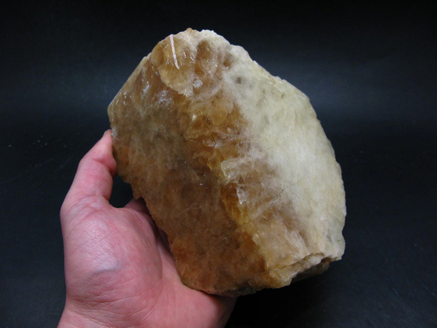 Enormous Gold Danburite from Madagascar - 9.3" - 2014 Grams