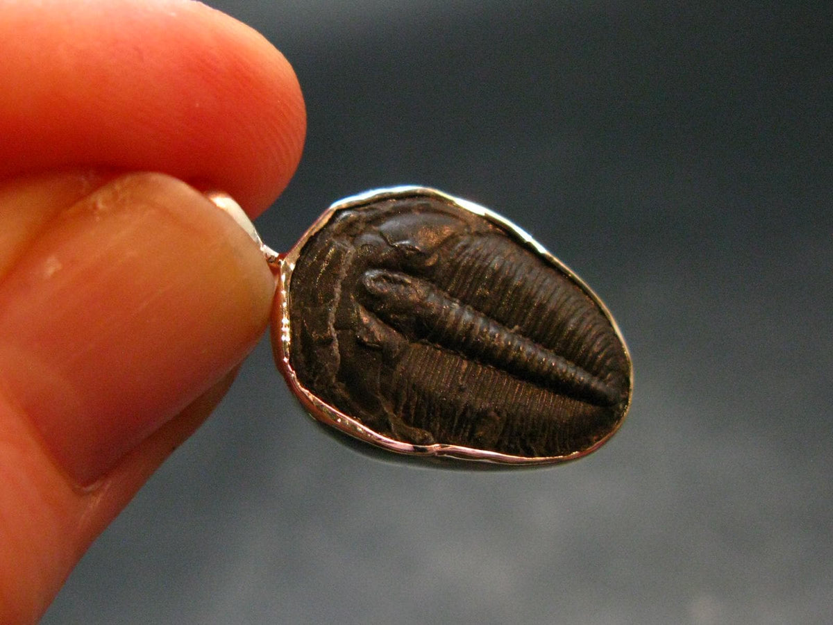 Trilobite Silver Pendant from USA - 1.0" - 1.91 Grams