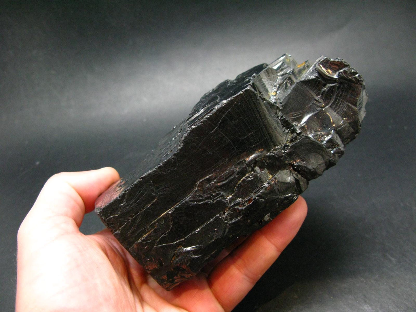 Elite Noble Shungite Raw Piece from Russia - 5.3" - 583 Grams