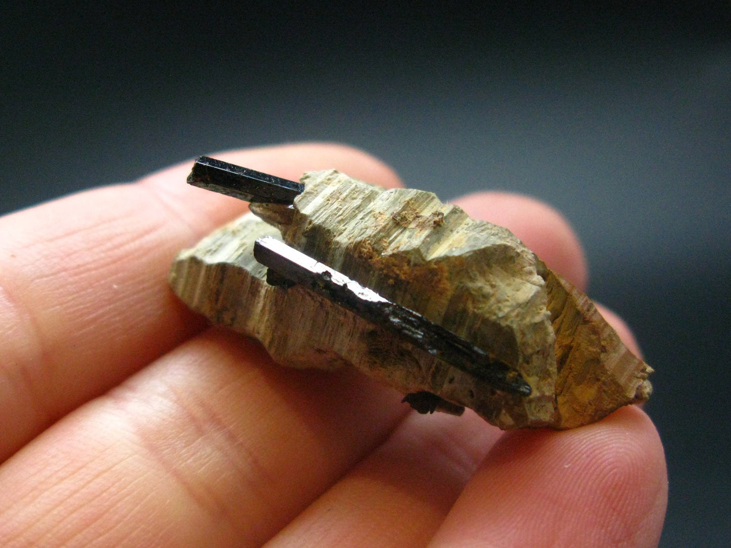 Rare Parisite Crystal From Malawi - 10.67 Grams - 1.3"