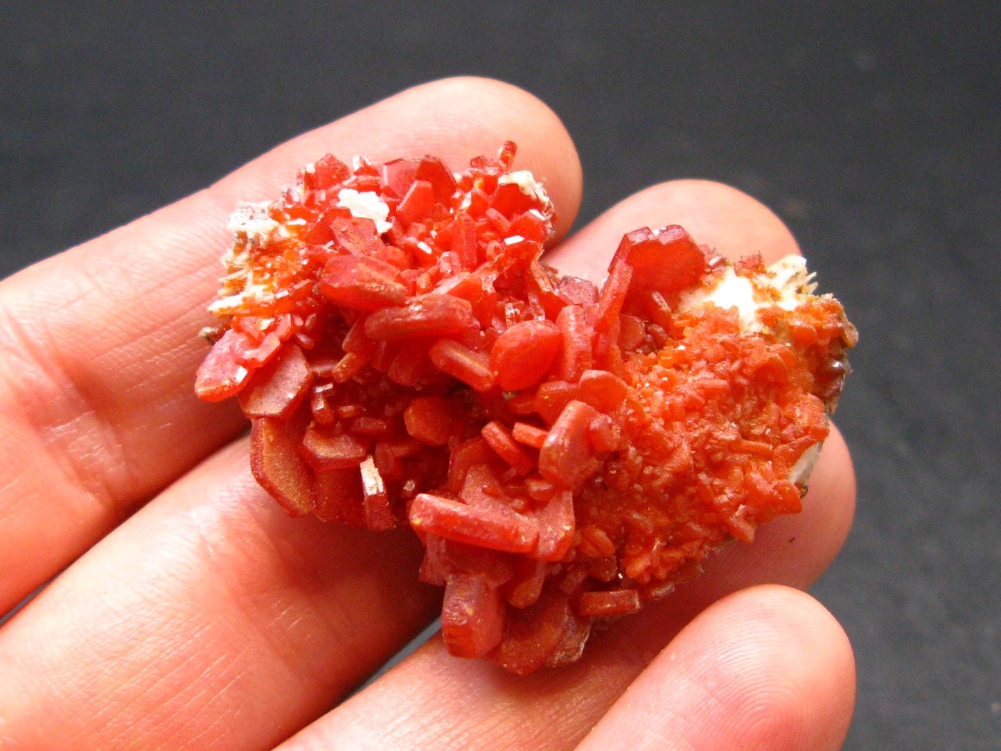 Vanadinite Crystal From Morocco - 1.5" - 23.65 Grams