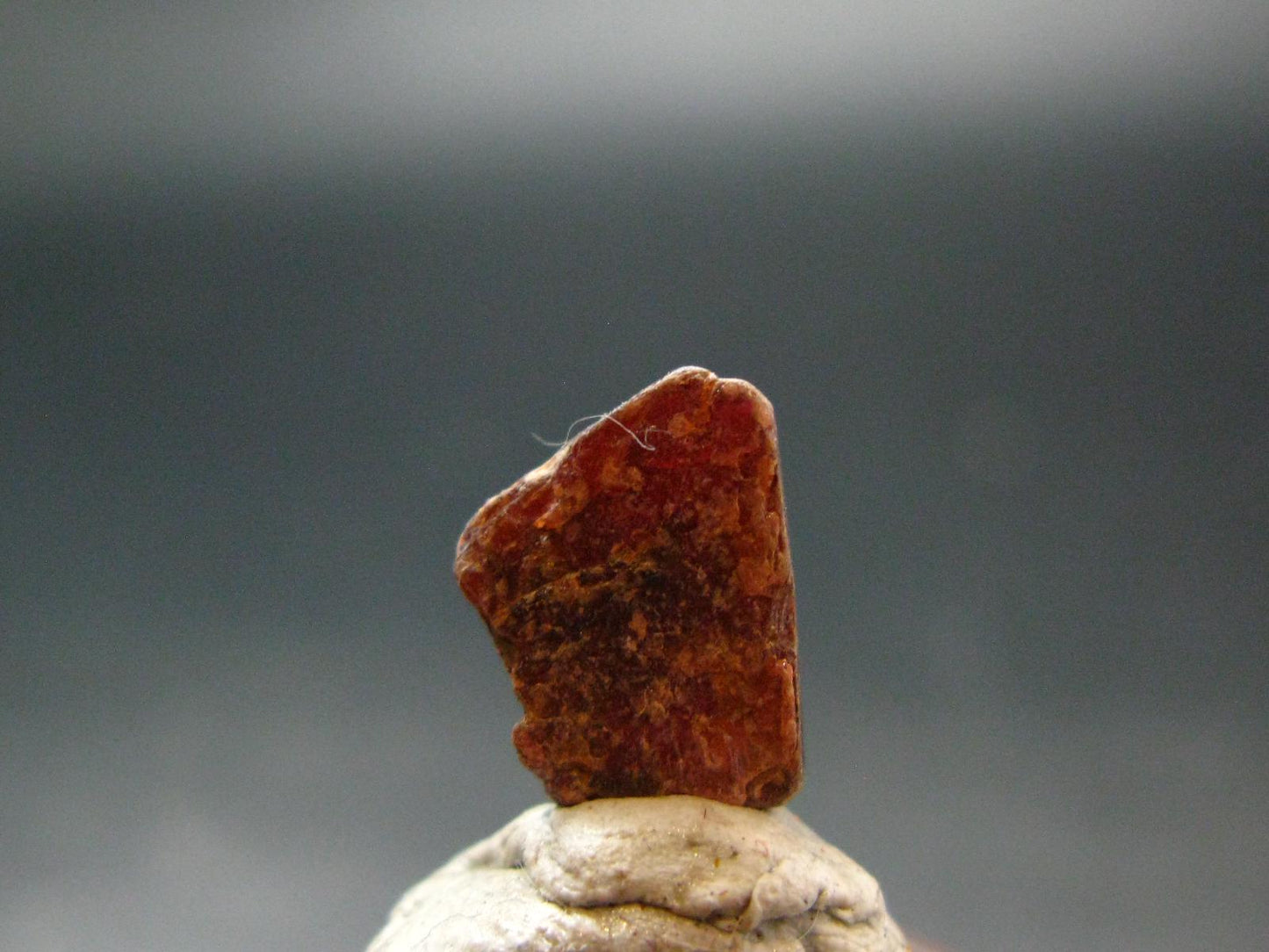 Mangano Tantalite Crystal From Brazil - 0.5" - 10.85 Carats