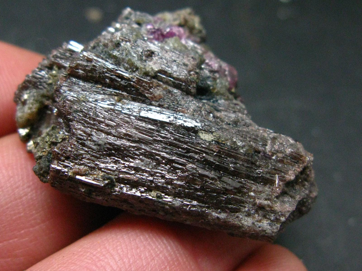 Stunning Painite Crystal with Ruby From Burma - 152 Carats - 1.6"