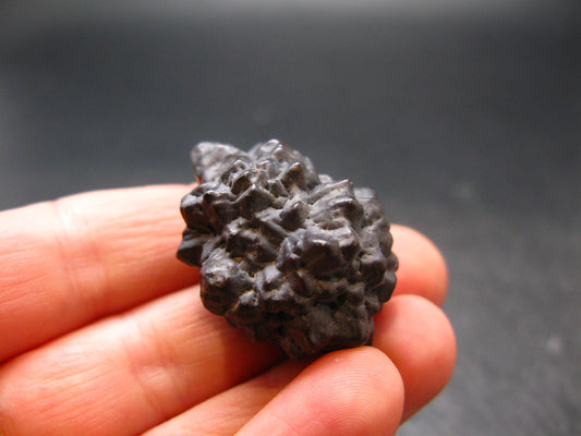 Very rare Z-Stone (Limonite after Marcasite) from Sahara Dessert, Egypt - 1.2" - 22.73 Grams