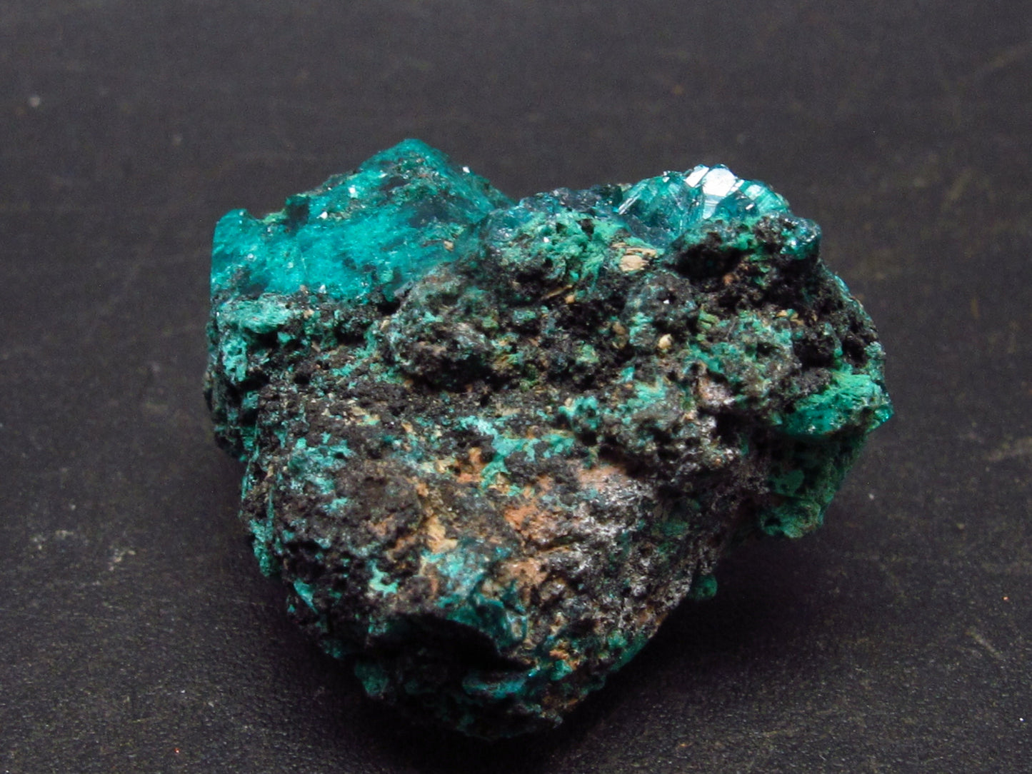 Beautiful Dioptase Cluster from Kazakhstan - 1.0"