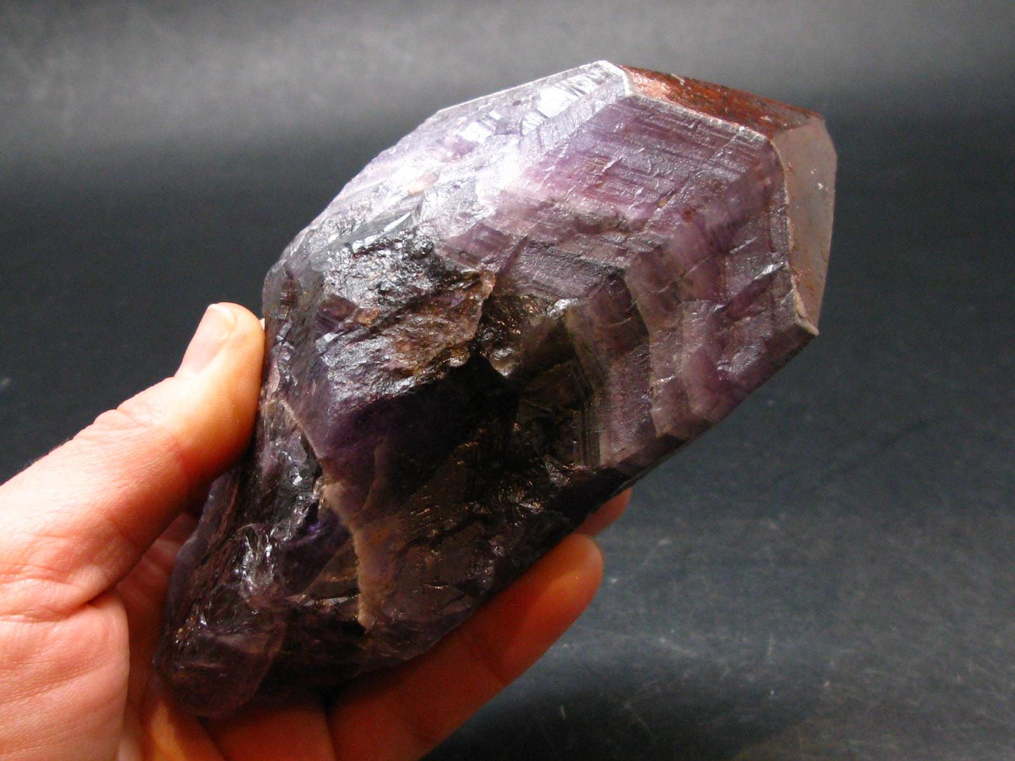 Rare Auralite Super 23 Large Crystal Amethyst From Canada - 5.3" - 516.0 Grams