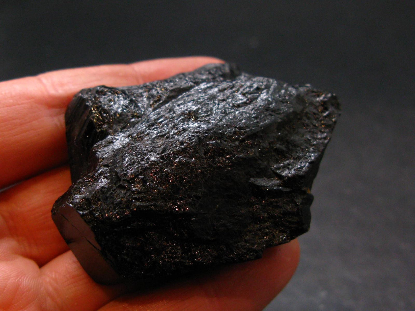 Fine Black Tourmaline Schorl Crystal From Namibia - 2.0" - 77.44 Grams