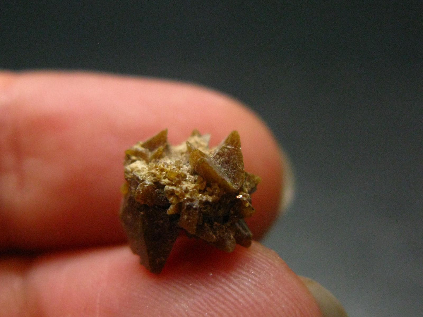 Rare Monazite Crystal From Brazil - 0.4" - 1.09 Grams