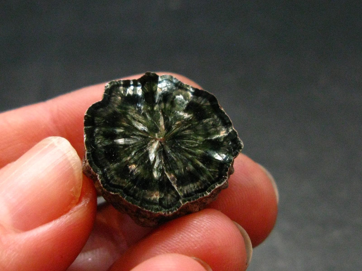 Nice Polished Seraphinite Clinochlore Stalactite From Russia - 0.8" - 6.06 Grams