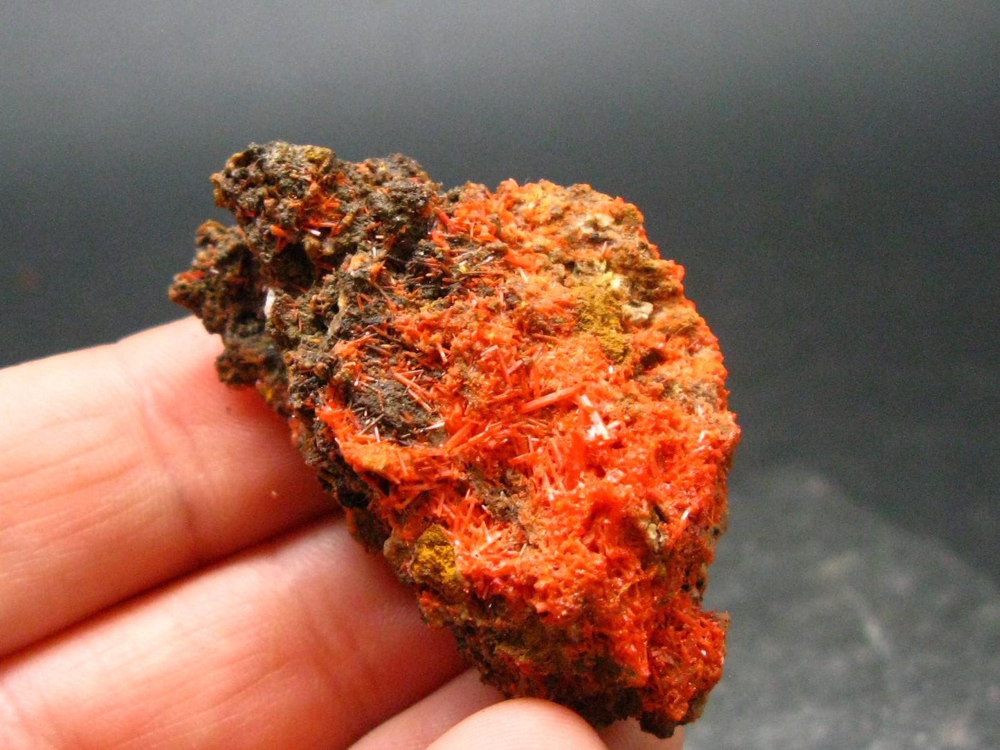 Rare Orange Crocoite Cluster From Australia - 1.6"- 13.49 Grams