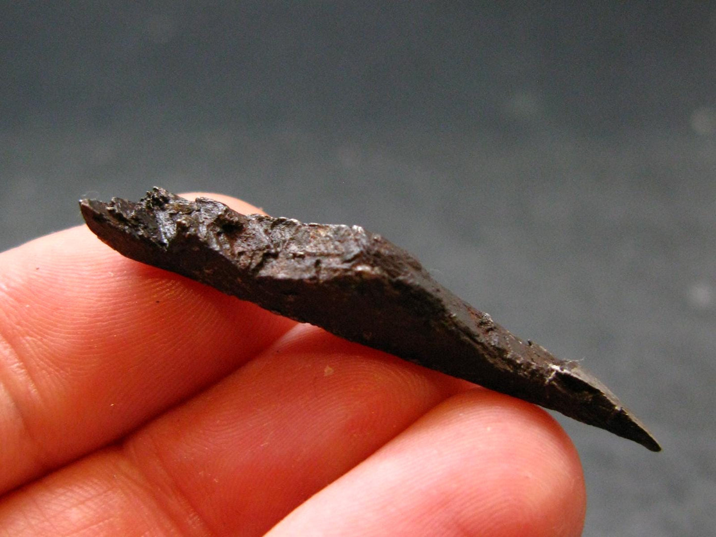 Large Gibeon Meteorite From Namibia - 1.5" - 4.15 Grams