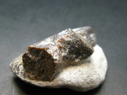 A Perfect Staurolite Crystal from Russia - 1.7" - 31.83 Grams