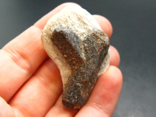 A Perfect Staurolite Crystal from Russia - 1.7" - 23.54 Grams