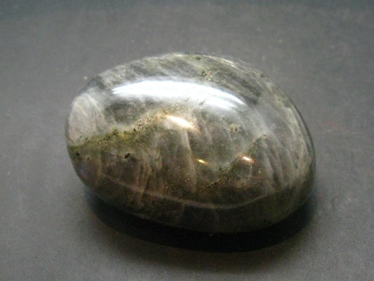 Labradorite Polished Stone from Madagascar - 2.4" - 161.25 Grams
