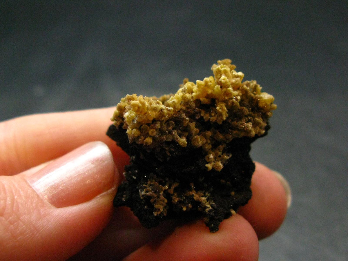 Nice Large Yellow Mimetite Cluster from Mexico - 1.1"